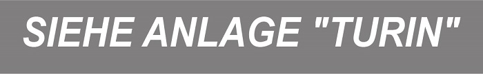 Btn Siehe Turin.jpg